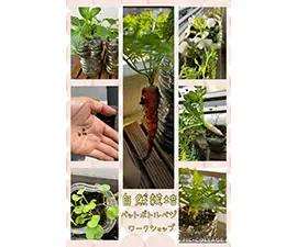 自然栽培ダイチの力