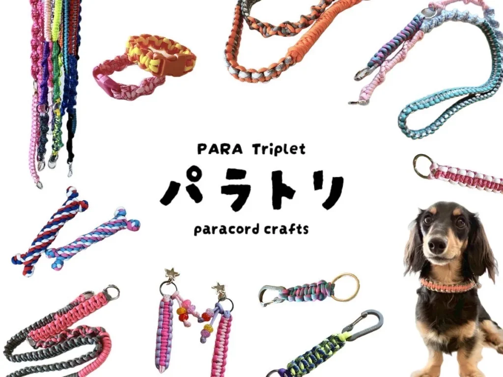 line_oa_chat_250826_170217