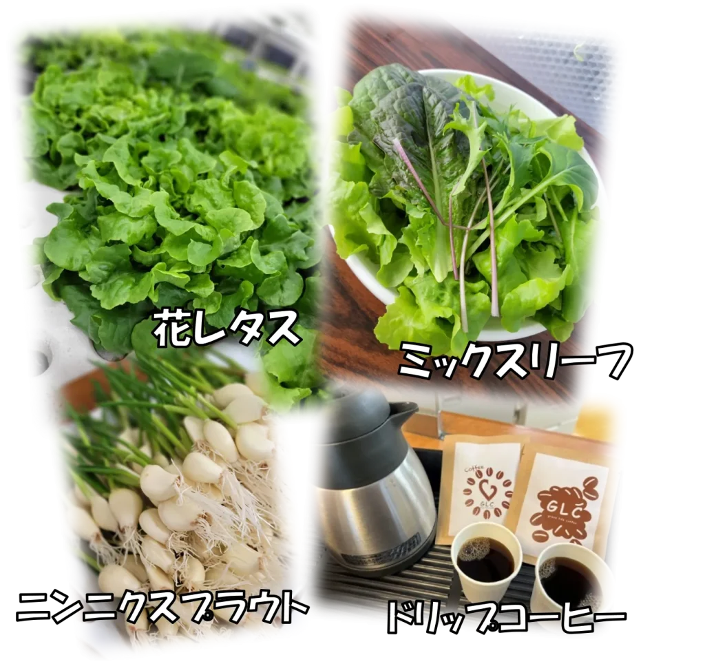 GF守口-チラシ用写真