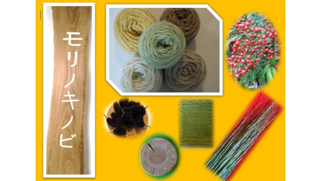 モリノキノビ様2